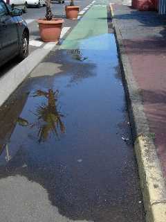 Eau sur piste cyclable