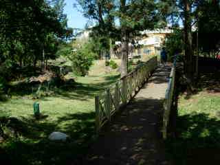 Pont de bois