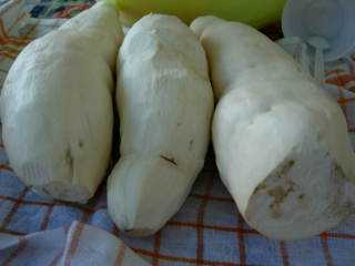 Manioc - lavage