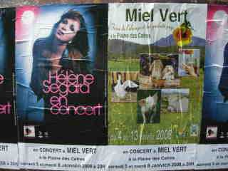 Miel Vert 2007