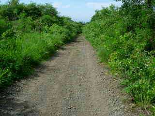 Chemin canal Dassy