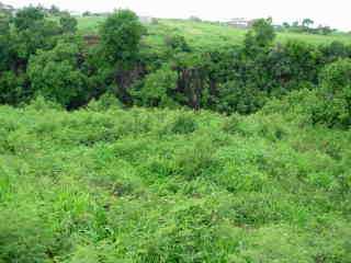 Berges de la rivire d'Abord