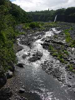 Bras de la Plaine