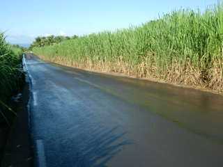 Chemin Diagonal arros