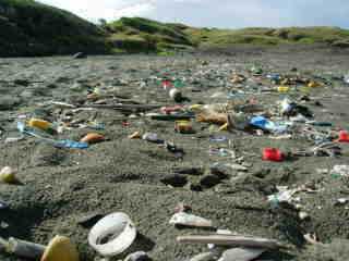 Pointe du Diable, plage