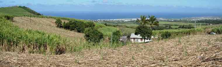 Piton de Bassin Martin et ville de St-Pierre