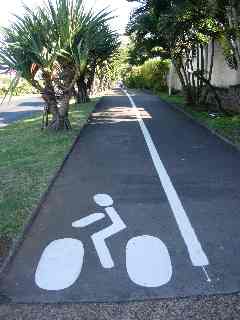 Piste cyclable et vacoas