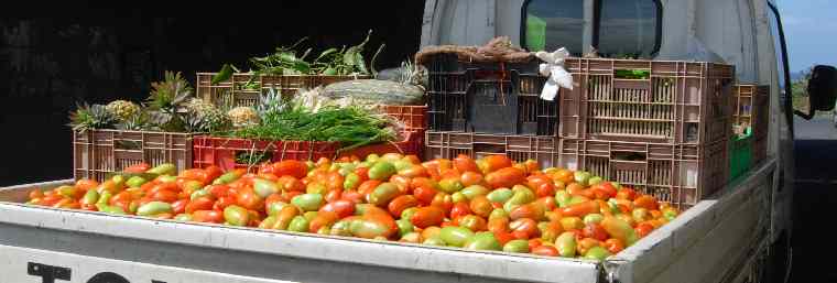 Tomates et ananas ...