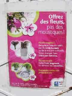 Offrez des fleurs, pas des moustiques !