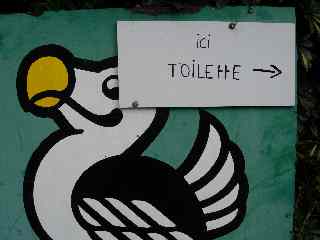 Dodo et toilettes