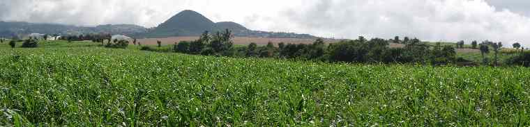 Chemin de Bassin Plat - Piton de Mont Vert