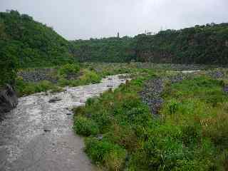 Bras de la Plaine