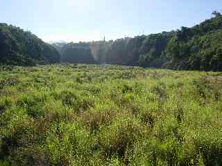 Bras de la Plaine