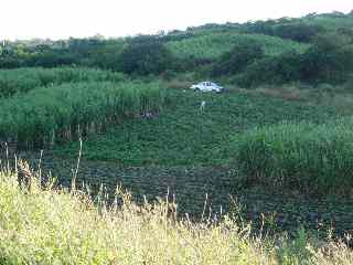 Agriculteurs au travail