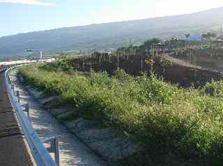 Route des Tamarins