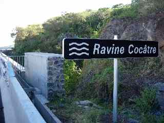 Ravine Coctre