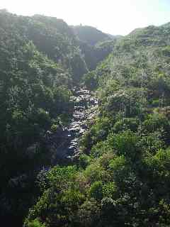 Fond de la ravine des Trois-Bassins