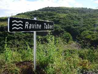 Ravine Tabac