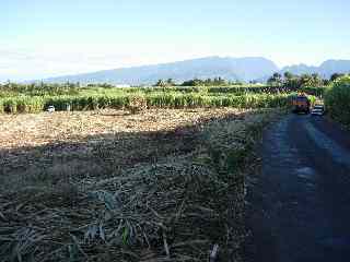 Cannes chemin de Bassin Plat