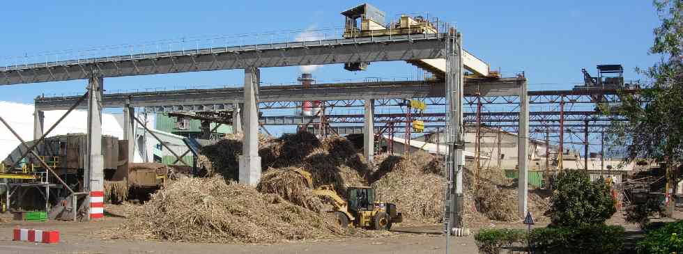 Plate-forme de rception des cannes  l'usine du Gol  St-Louis - La Runion