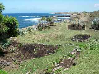 Plantations  la Pointe du Diable