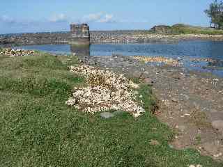 Etang du Gol, pile d'ancien pont du chemin de fer