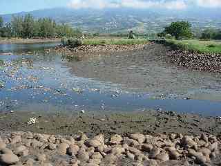 Etang du Gol