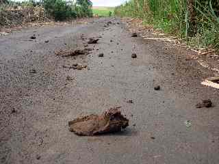 Route de Bassin Martin