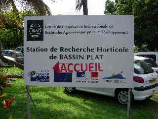 CIRAD - Bassin Plat