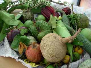 CIRAD - plateau de fruits