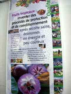 Affiche CIRAD