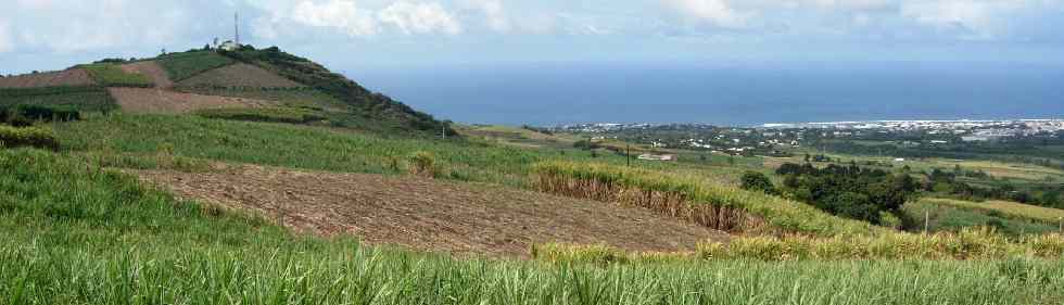 Piton de Bassin Martin et la ville de St-Pierre