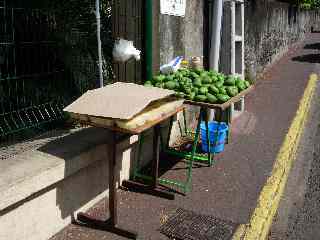 Mangues vertes