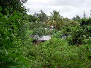 Pont sur la Ligne Paradis