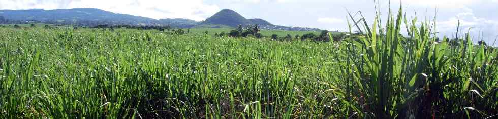 Piton de Mont Vert