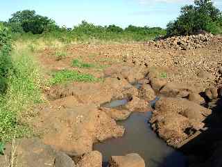 Rivire d'Abord  Bassin Plat