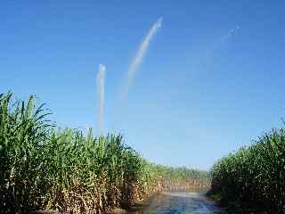 Irrigation chemin de Bassin Plat