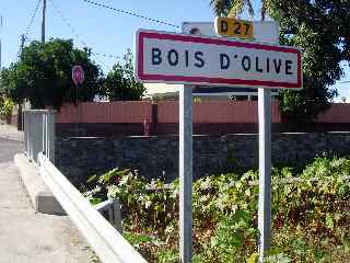 Bois d'Olive ou Bois d'Olives ?