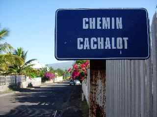 Chemin Cachalot à Pierrefonds