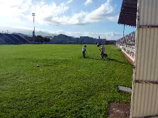 Pelouse du stade Michel-Volnay