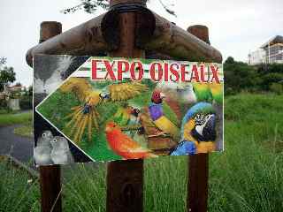 Exposition d'oiseaux au gymnase Mandela