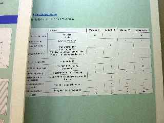 Concertation publique relative au projet de liaison routire Balance-Asile/hpital  - tableau 5