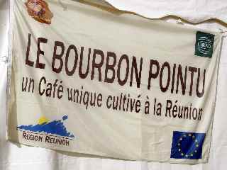 Caf Bourbon Pointu