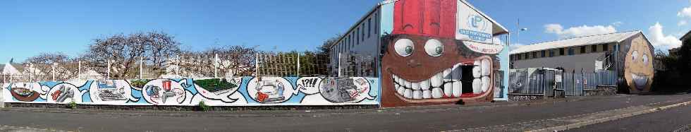 LEP de St-Pierre - rue Luc-Lorion - juillet 2010 - Grafs de l'artiste JACE