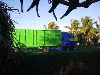 Cachalot au rond-point des Casernes