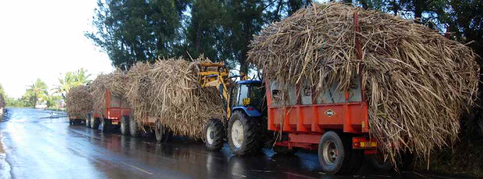 File d'attente des tracteurs sur le chemin de Bassin Plat