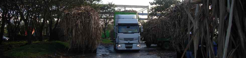 Dpart d'un cachalot charg vers l'usine du Gol