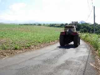 Route de Bassin Plat