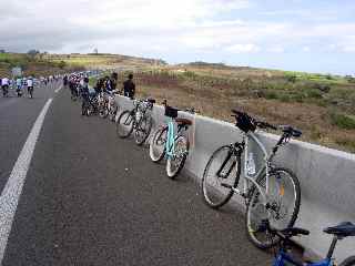 Route libre 2010 - Alignement de vélos
