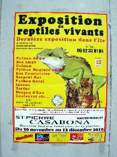 Exposition de reptiles vivants -St-Pierre
